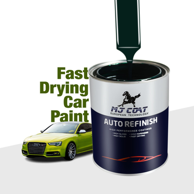 Pintura ecologica per auto 50 g/l Contenuto di COV